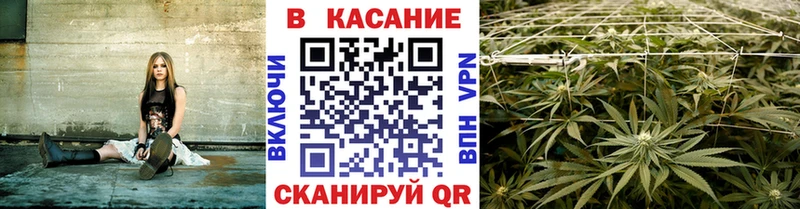 Цена Берёзовка Бошки Шишки  Амфетамин  ГАШИШ  Экстази  Псилоцибиновые грибы  Альфа ПВП  COCAIN  МЕТАМФЕТАМИН 