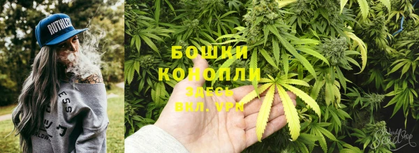 дурь Алексеевка