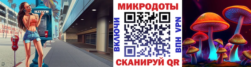 где найти наркотики Берёзовка Галлюциногенные грибы Psilocybine cubensis