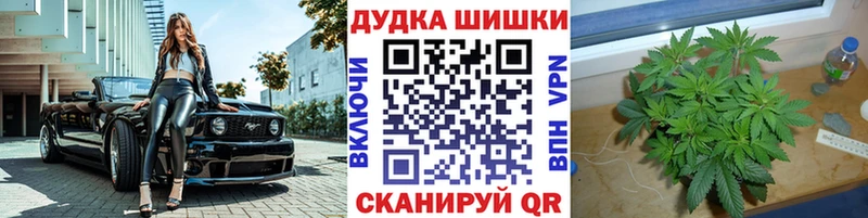 блэк спрут ONION Берёзовка МАРИХУАНА конопля наркотики